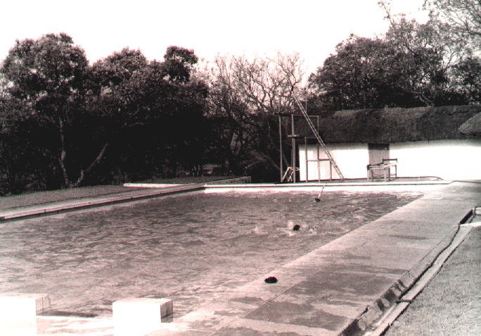 Nadando para o passado