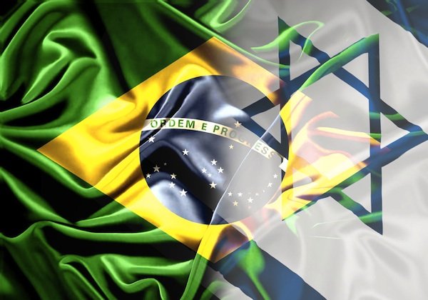 Programa de cooperação científica