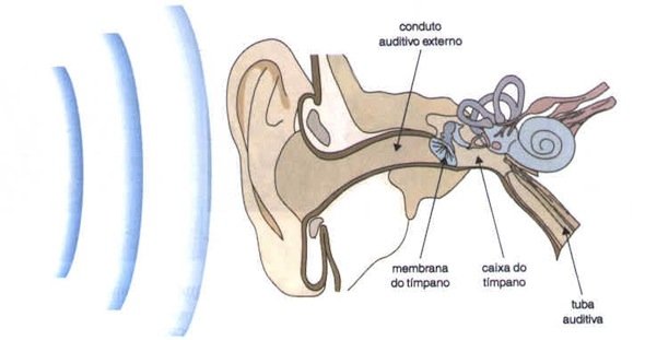 MP3 Players: Um risco para a audição