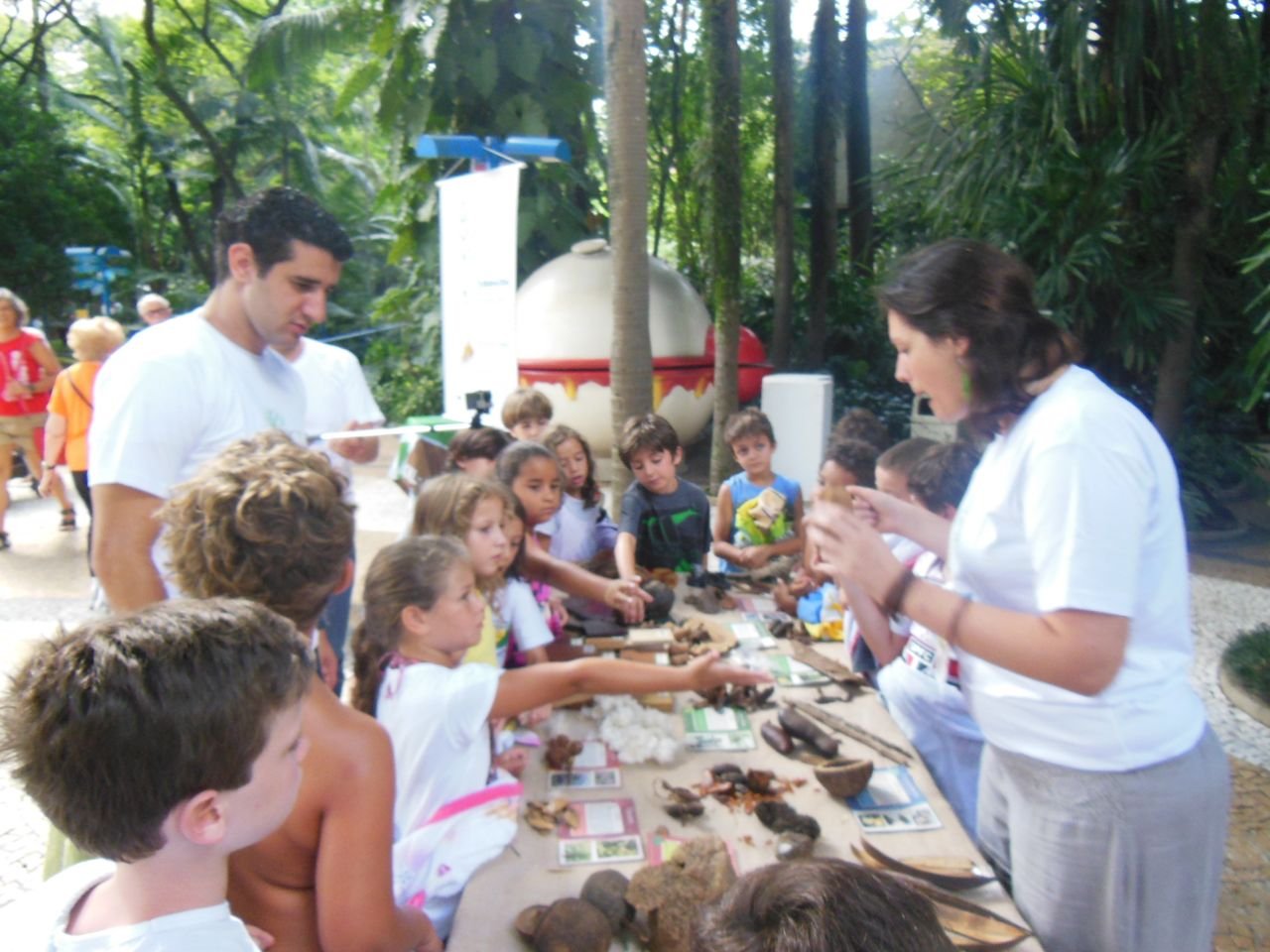 Entidades se uniram para a celebrar Tu Bishvat