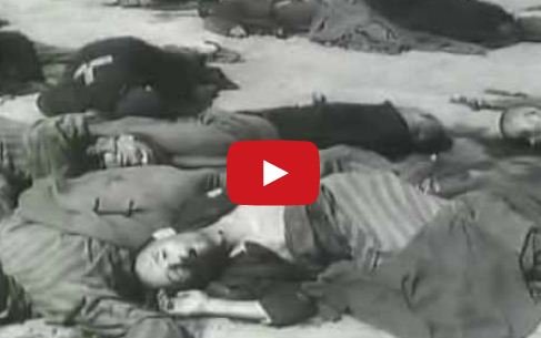 Para quem nega o Holocausto