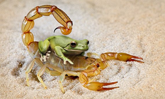 Israel: da fábula e da realidade