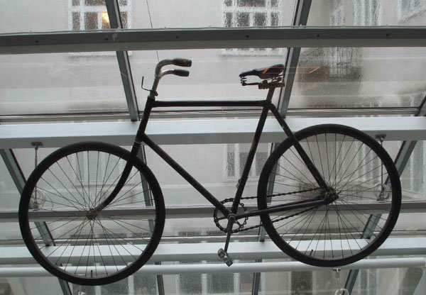 Um olhar brasileiro sobre a Vienna judaica