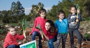 KKL COMEMORA O ANO NOVO DAS ÁRVORES POR TODO ISRAEL