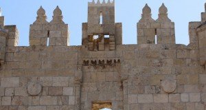 PRESO MAIS UM TERRORISTA