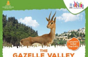 UMA RESERVA ECOLÓGICA EM PLENA JERUSALÉM