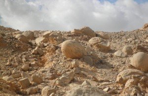 MILAGRE NA AGRICULTURA