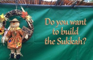 VOCÊ QUER MONTAR UMA SUKÁ?