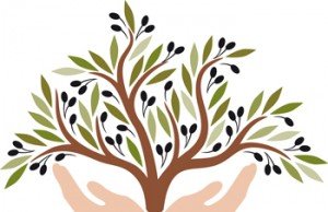 ABERTURA DA EXPOSIÇÃO WOMEN AND THEIR OLIVE TREES