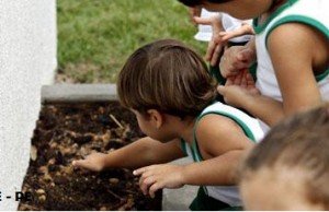 KKL Brasil faz atividades por todo o país no do Dia das Boas Ações