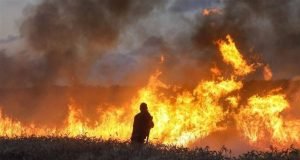 Revelados danos catastróficos dos chamados “protestos pacíficos na fronteira de Gaza”