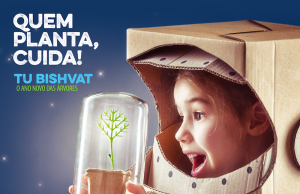 KKL Brasil lança campanha para estimular alunos brasileiros a plantarem árvores