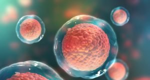 Einstein e Unifesp iniciam pesquisa inédita com células-tronco para tratar incontinência urinária de esforço