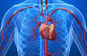 Um robô para o coração