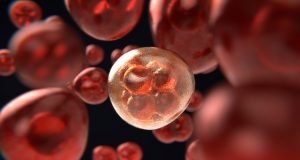 Einstein inaugura rede de oncologia e amplia atuação pelo Brasil