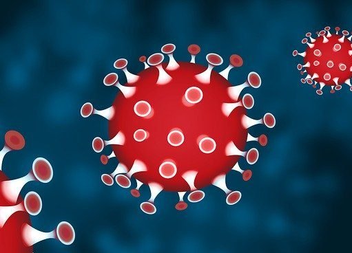 Brasil, o celeiro da Covid