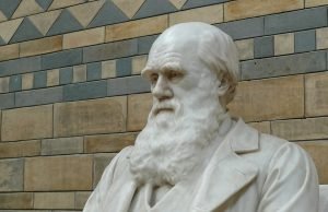 Desafiando as leis da evolução