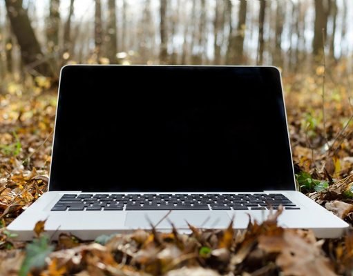 Amazon Tech apresentará tecnologias israelenses inéditas para o desenvolvimento sustentável da Amazônia