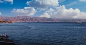 Série desvenda mistérios das espécies que habitam o Mar Vermelho