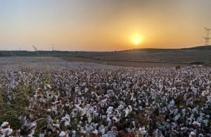 Escola Agrícola 4.0 trará tecnologia israelense ao Brasil