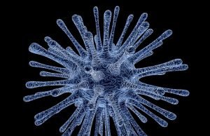 Pesquisadores de Israel identificam 100.000 novos tipos de vírus até então desconhecidos pela ciência