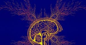 Um novo desenvolvimento da Universidade de Tel Aviv oferece boas notícias para pessoas com TDAH