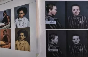 Museu de SC exibe mostra sobre holocausto e escravidão no Brasil