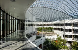 Fellowship em Biodesign e Inovação em Saúde