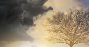 Romance judaico conta as agruras e conquistas de uma família de emigrados