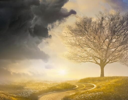 Romance judaico conta as agruras e conquistas de uma família de emigrados